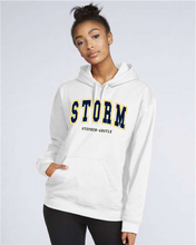 Load image into Gallery viewer, Storm Arched Gildan Hoodie