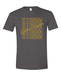 Storm Stacked Gildan T-shirt