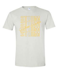 Storm Stacked Gildan T-shirt