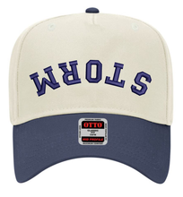 Load image into Gallery viewer, Upside Down Sports Hats - Various Teams
